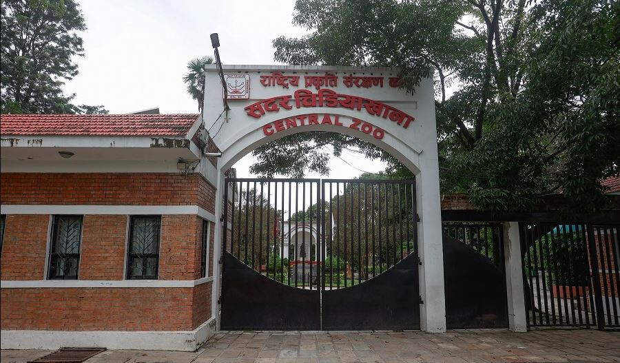 बर्ड फ्लु पुष्टि भएपछि जावलाखेल चिडियाखाना अनिश्चितकालका लागि बन्द गरिएको छ। संक्रमणका कारण केही चरा तथा जनावर मरेका छन्।